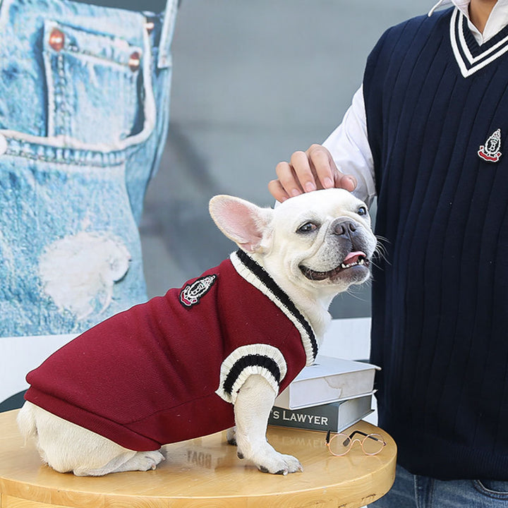 College Style Warm & Cozy Dog Clothes